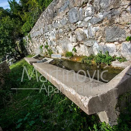 Martinovic