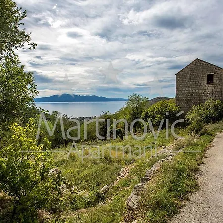 Martinovic *