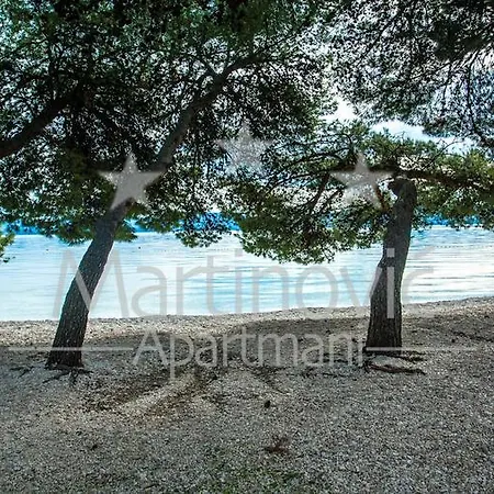 Martinovic *